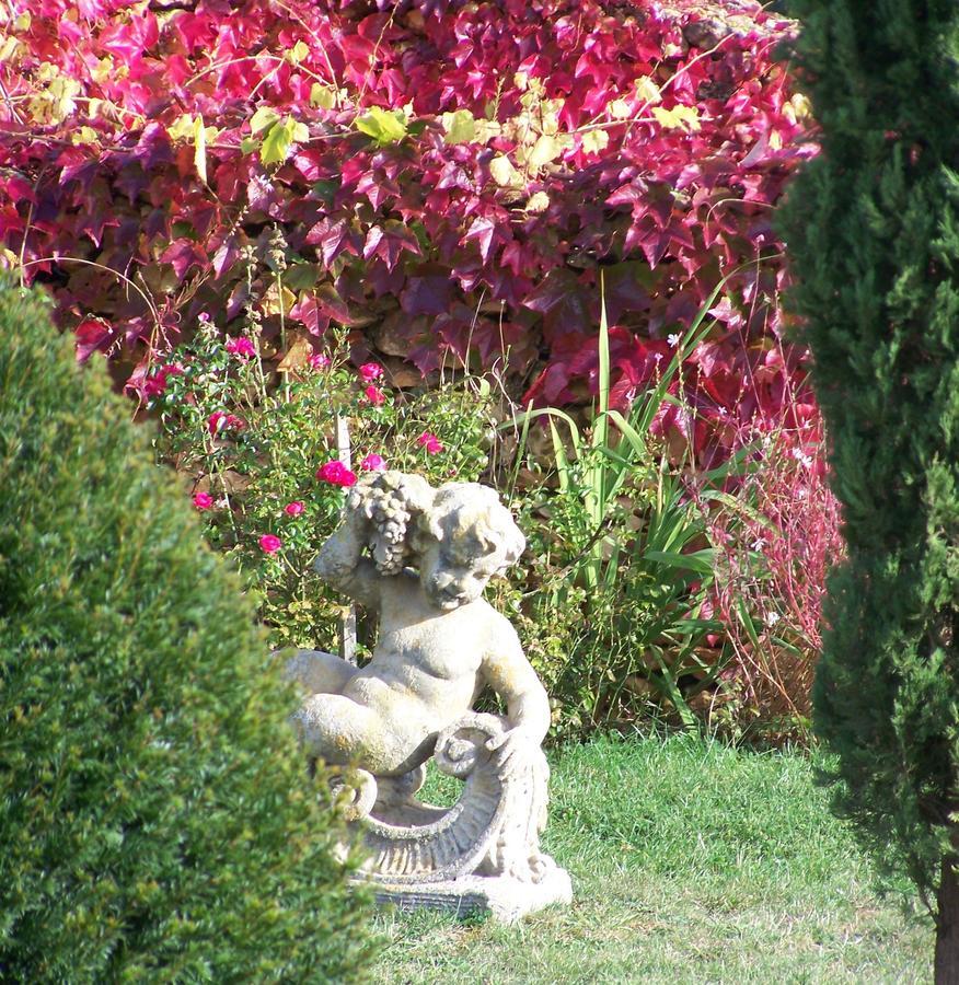 La Charmeraie Bed and Breakfast Saint-Cirq  Exteriör bild